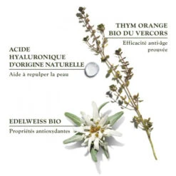 SANOFLORE REINES Crème De Jour Légère BIO - 40ml 16 SANOFLORE REINES Crème De Jour Légère BIO - 40ml -Magasin De Produits De Soins sanoflore creme des reines legere 40 ml 7