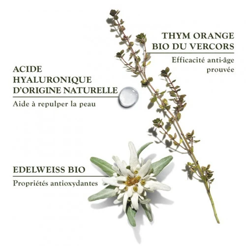 SANOFLORE REINES Crème De Jour Légère BIO - 40ml 8 SANOFLORE REINES Crème De Jour Légère BIO - 40ml – Image 8