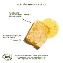 SANOFLORE REINES Crème Riche BIO - 50ml 9 SANOFLORE REINES Crème Riche BIO - 50ml -Magasin De Produits De Soins sanoflore creme des reines riche 50 ml 2