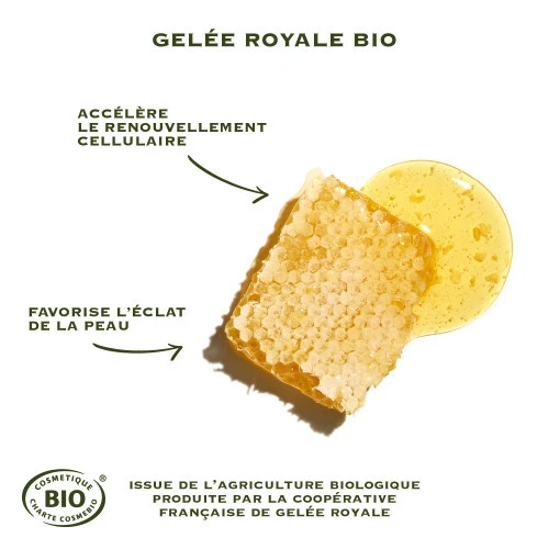 SANOFLORE REINES Crème Riche BIO - 50ml 3 SANOFLORE REINES Crème Riche BIO - 50ml – Image 3