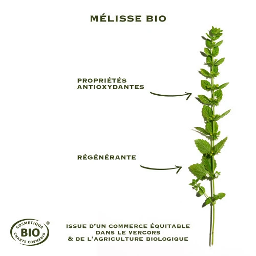 SANOFLORE MERVEILLEUSE Absolu Sérum Anti-Age BIO - 30ml 4 SANOFLORE MERVEILLEUSE Absolu Sérum Anti-Age BIO - 30ml – Image 4