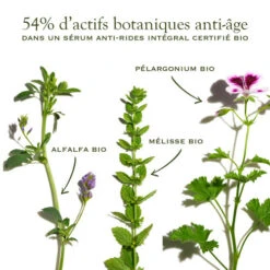 SANOFLORE MERVEILLEUSE Absolu Sérum Anti-Age BIO - 30ml 13 SANOFLORE MERVEILLEUSE Absolu Sérum Anti-Age BIO - 30ml -Magasin De Produits De Soins sanoflore merveilleuse absolu serum anti age bio 30ml 4