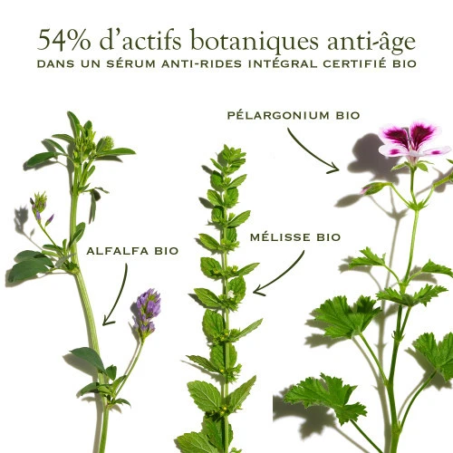 SANOFLORE MERVEILLEUSE Absolu Sérum Anti-Age BIO - 30ml 5 SANOFLORE MERVEILLEUSE Absolu Sérum Anti-Age BIO - 30ml – Image 5