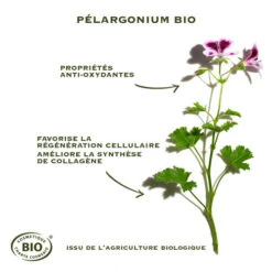 SANOFLORE MERVEILLEUSE Absolu Sérum Anti-Age BIO - 30ml 14 SANOFLORE MERVEILLEUSE Absolu Sérum Anti-Age BIO - 30ml -Magasin De Produits De Soins sanoflore merveilleuse absolu serum anti age bio 30ml 5