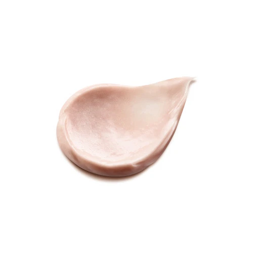 SANOFLORE ROSA FRESCA Crème Légère BIO - 40ml 2 SANOFLORE ROSA FRESCA Crème Légère BIO - 40ml – Image 2