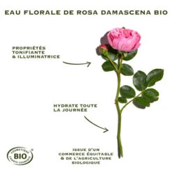 SANOFLORE ROSA FRESCA Crème Légère BIO - 40ml 9 SANOFLORE ROSA FRESCA Crème Légère BIO - 40ml -Magasin De Produits De Soins sanoflore rosa fresca creme legere bio 40 ml 2