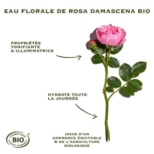 SANOFLORE ROSA FRESCA Crème Légère BIO - 40ml 3 SANOFLORE ROSA FRESCA Crème Légère BIO - 40ml – Image 3