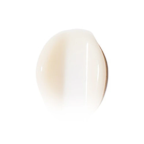 SkinCeuticals SKIN CEUTICALS FACE CREAM Crème Rides Peaux Matures 50ml 2 SkinCeuticals SKIN CEUTICALS FACE CREAM Crème Rides Peaux Matures 50ml – Image 2